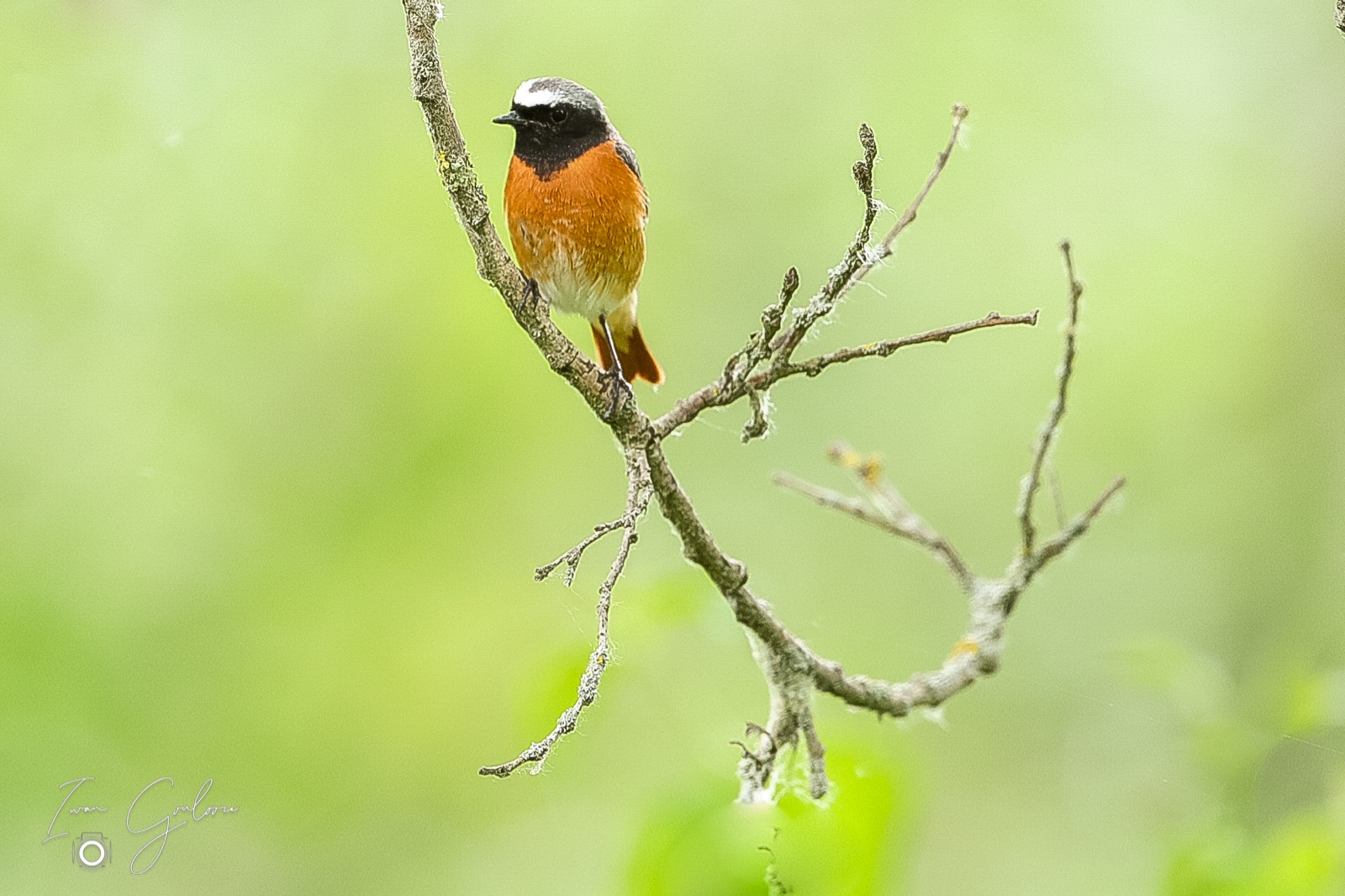 1DX45882 04 juni 2022 1200 56